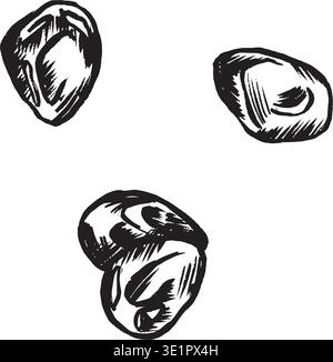 Three Roasted Coffee Beans On White, Bold Ink Sketch Captures Texture And Central Groove, Minimal Composition Conveys Specialty Coffee Vibe, Suitable For Cafe Branding, Packaging And Social Media Stock Vector