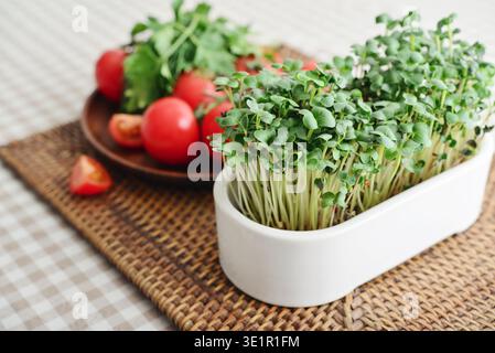 Close-up of home-grown radish microgreens in a flower pot with cherry tomato on wooden plate. Ingredients for a healthy salad. Stock Photo