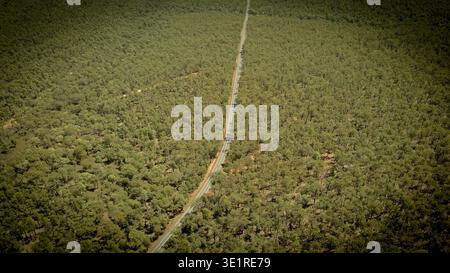 A high-angle aerial view shows a long, straight two-lane road slicing through an immense expanse of dense green forest. The canopy stretches to the ho Stock Photo