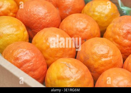 Vibrant natural food photos of whole and halved blood oranges on dark wood and a white plate. Features deep crimson and orange flesh. Fresh and rustic Stock Photo