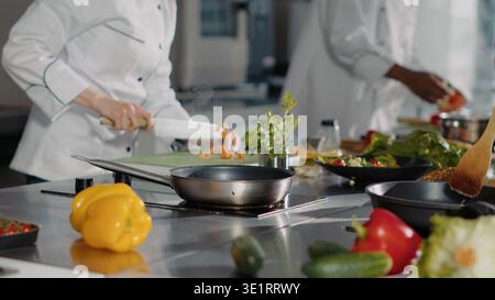 Woman cooking gourmet food with sliced carrots and vegetables, preparing organic ingredients to make professional restaurant dish. Authentic chef using culinary recipe to cook meal. Handheld shot. Stock Photo