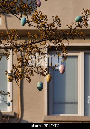 Colorful Easter eggs dangle from the branches of a budding tree, set against the backdrop of a residential building and window Stock Photo
