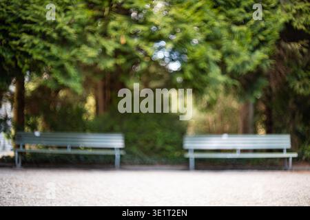A soft focus image featuring two green wooden benches in a park. Lush green trees create a beautiful bokeh background with natural light filtering thr Stock Photo