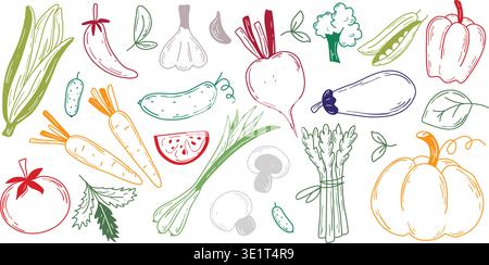 Colored engraving of farm vegetables. Set of hand drawn illustrations of healthy organically grown food. Vector collection of elements Stock Vector