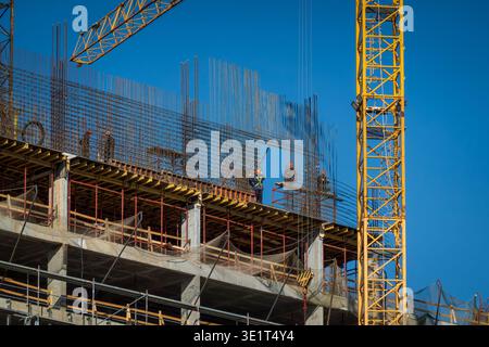 Construction workers building concrete structure with tower crane, steel rebar, scaffolding, safety gear and clear blue sky. Stock Photo