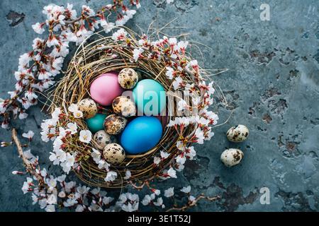 Colorful Easter eggs in a nest with flowering branch Stock Photo
