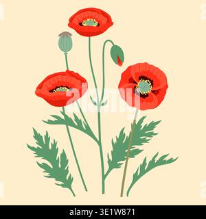 Red Poppy Flowers Botanical Illustration, wild meadow poppies with buds and green leaves isolated on light background Stock Vector