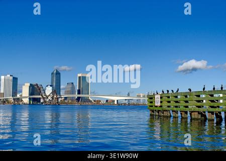 Jacksonville Skyline and Main Street Bridge Reflected on the St. Johns River with Water Birds on Pier, Florida, USA Stock Photo