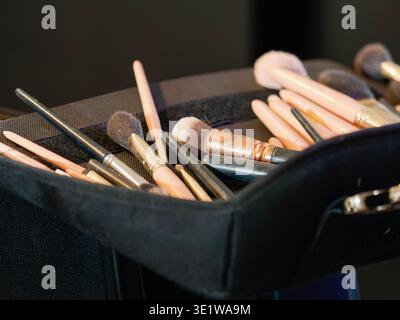 Close-up of a collection of makeup brushes arranged in a professional kit. Beauty tools used for cosmetic application, ideal for concepts related to m Stock Photo