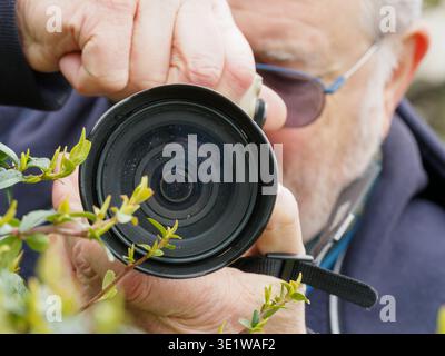 Close-up of a man using a camera to take a photograph outdoors, focusing through the lens near plants. Scene highlights photography activity, equipmen Stock Photo