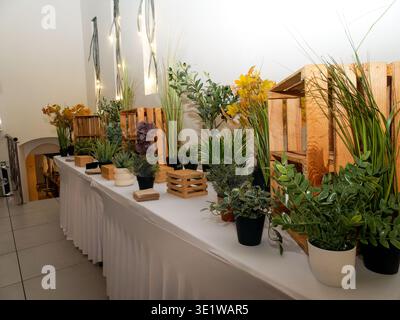 Decorative display of indoor potted plants and greenery arranged on a table for event or reception decoration with natural elegant styling. Stock Photo