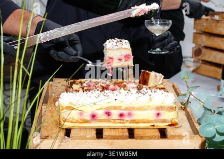Close-up of a layered cream and raspberry cake being served at a dessert buffet, showcasing a refined catering. Stock Photo