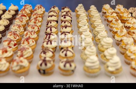 Rows of gourmet cupcakes with various toppings are displayed on a white surface. These desserts are catering events parties or any celebration. Stock Photo