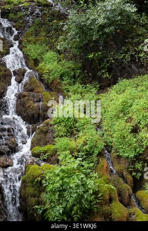 Waterfall at Cascate Varone flowing over mossy rocks surrounded by green vegetation with natural light and fresh forest environment in parco grotta Tr Stock Photo