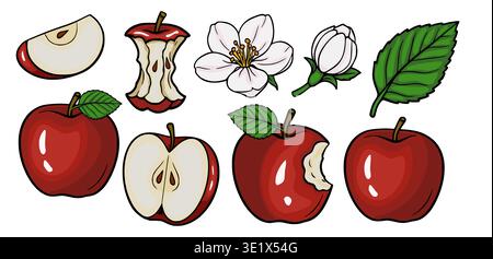 Set of red apples, apple slices, bite marks, core, flower and leaf vector illustration Stock Vector