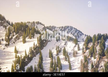 Snowy mountain landscape with thick pine forests in the warm light of the setting sun, Hochgrat Mountains, Allgaeu Alps, Oberreute, Germany Stock Photo