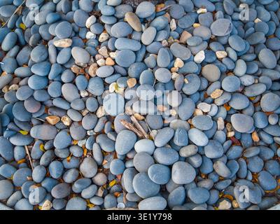 Full frame texture of various-sized smooth grey and blue river stones scattered on the ground with dry organic debris. Stock Photo