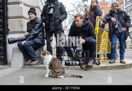 London, UK. 17th Mar, 2026. Larry the Cat in Downing Street with the photographers Credit: Mark Thomas/Alamy Live News Stock Photo