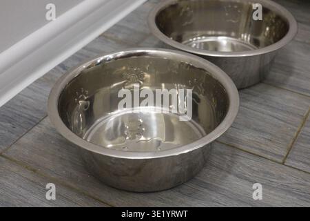 A professional close-up shot of two empty, clean metal pet bowls with embossed paw prints. The polished silver surface reflects the light, sitting on Stock Photo