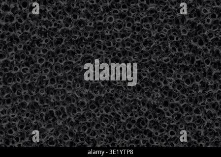uniform porous foam polyurethane rubber background Stock Photo