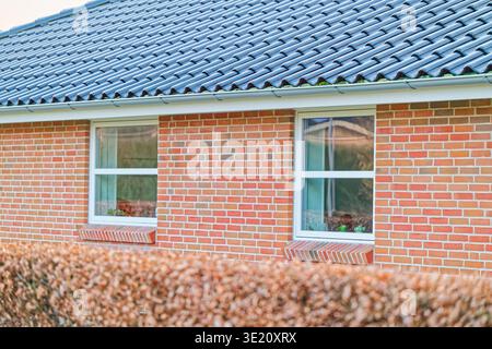 Exterior view of a modern brick house featuring two white framed windows and a blue tiled roof with a brown hedge in the foreground. Stock Photo