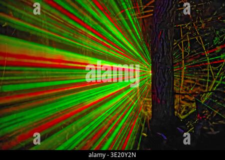 Bright green and red laser beams radiate through a dark forest, creating a vibrant and dynamic light display among trees and branches at night. Stock Photo