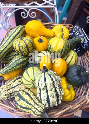 Basket of ornamental dried Gourds, The Tannery,  Garlands Road, Woolston, Christchurch (Ōtautahi), Canterbury Region, South Island, New Zealand Stock Photo