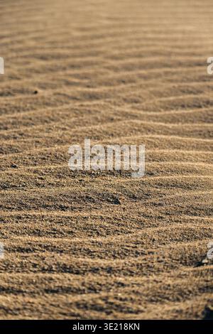 Natural rippled sand surface on beach forming minimal texture background in warm sunlight Stock Photo