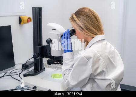 Laboratory technician examining green biological specimens under high powered microscope at research facility. Clean workspace with digital displays and precise instruments visible in background. Stock Photo