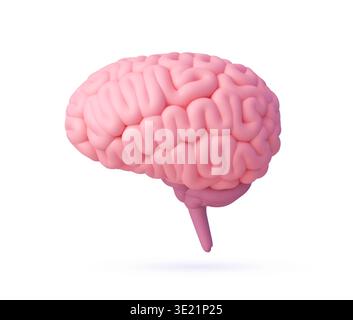 3D human brain model for body anatomy medicine Stock Vector