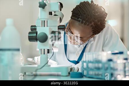 Black woman, scientist and specimen with microscope in lab for research, study sample and medical analysis. Female person, peti dish and machine for Stock Photo
