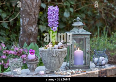 vintage easter arrangement with purple hyacinth in a plant vase, lantern and quail eggs Stock Photo