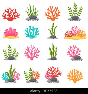 Underwater seaweeds and coral reef plants collection vector illustration. Stock Vector