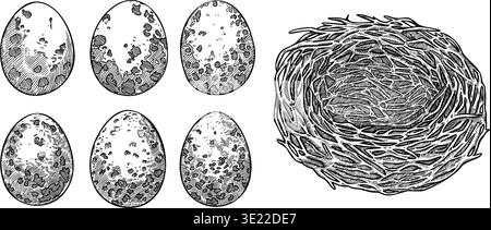 Bird nest with speckled quail egg black and white sketch set. Hand drawn vector graphic with outline texture. Organic nature inspired illustration. Perfect for seasonal decor and wildlife card design. Stock Vector