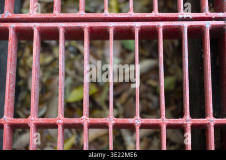 A close up red metal grate over storm drain filled with dry fallen autumn leaves creating melancholic seasonal feeling of decay and blocked infrastruc Stock Photo