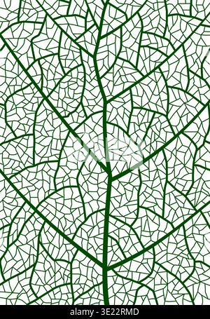 Green tree leaf veins closeup texture pattern Stock Vector