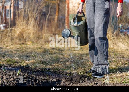 Woman carrying watering can in garden. Person holding a metal watering can above a garden bed outdoors, showing spring gardening, plant care, and Stock Photo
