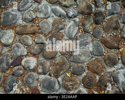 A high angle view of an old stone path with grey and brown rocks embedded in concrete with scattered pine needles Stock Photo