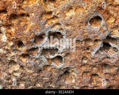 Close up view of a porous and rough weathered rock surface with warm earthy orange and brown tones Stock Photo