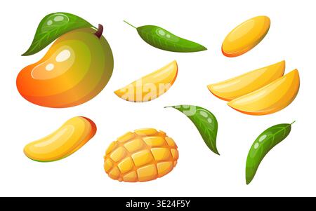 Vector illustration of mangoes with slices, leaves and pieces Stock Vector
