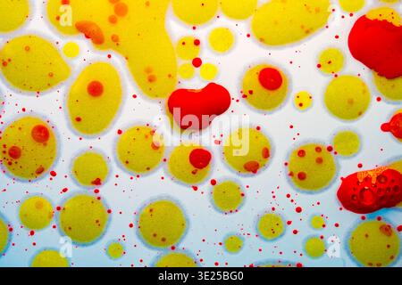 Vibrant yellow and red droplets float on a clear liquid surface. Tiny red specks scatter around the bubbles. Bright colors contrast against the pale, Stock Photo