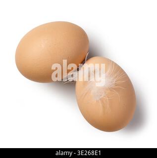 High-quality studio shot of two brown organic eggs, one decorated with a delicate white bird feather. Top view, isolated on white. This minimalist com Stock Photo