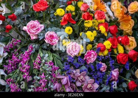 Festival De Flores - Antigua Guatemala - Vibrant mixed bouquet featuring pink and red roses, yellow chrysanthemums, purple statice and orchids arrange Stock Photo
