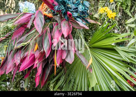 Festival De Flores - Antigua Guatemala - Colorful tropical foliage arrangement featuring magenta leaves, broad green palm fronds and exotic flowers se Stock Photo