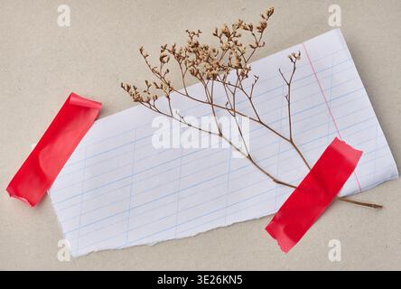 A torn sheet of lined paper is taped with red tape on a gray paper background, a dry plant branch Stock Photo
