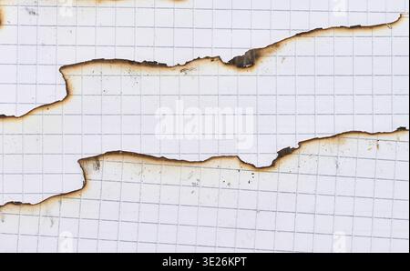 Torn and burnt edges of squared notebook sheets, close up Stock Photo
