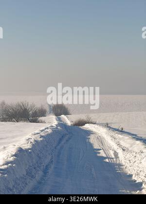 Snow covered path leading through trees Stock Photo - Alamy