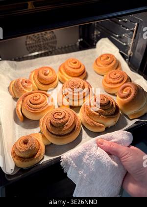 Freshly baked cinnamon rolls in oven baking homemade dessert Stock Photo