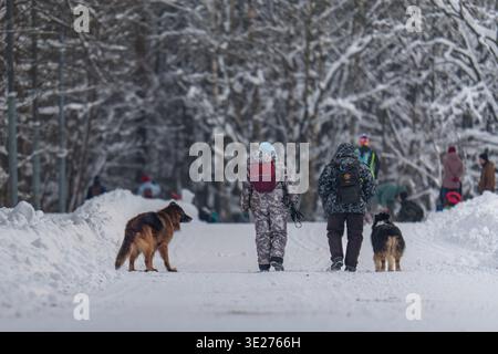 People walking dogs on snowy road in winter forest. Seasonal lifestyle image with soft cold light, fresh snow, and a calm everyday atmosphere in a nat Stock Photo