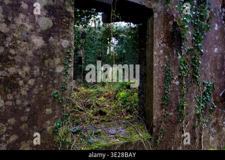 Ivy-clad stone window within a roofless ruin at Dorothea quarry Stock Photo